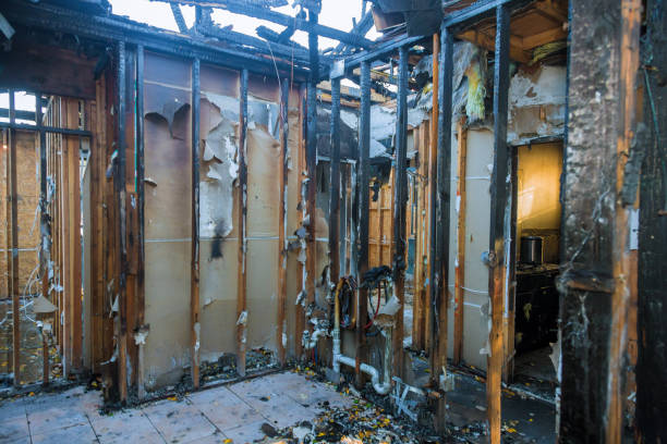 Professional Fire Damage Removal technician working in West Friendship, MD